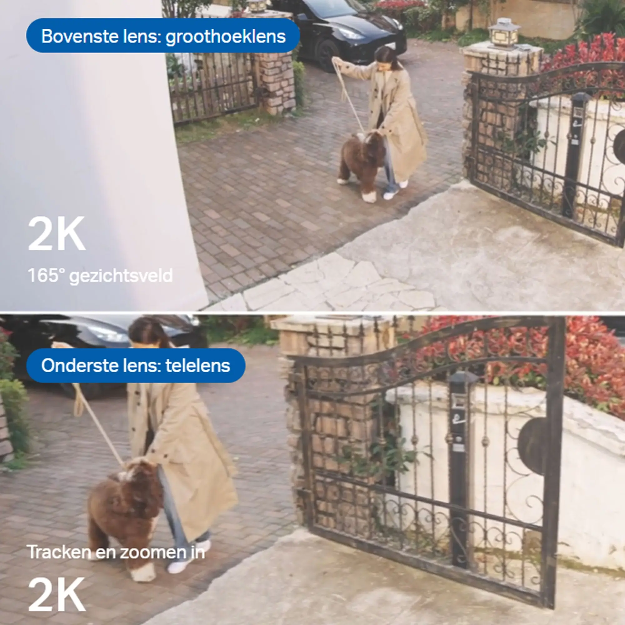 Productafbeelding 3